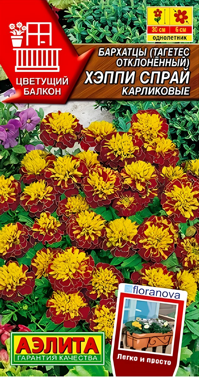 Бархатцы Хэппи спрай карликовые, 7 шт.