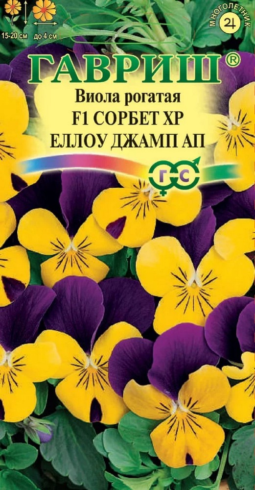 Виола рогатая Сорбет ХР еллоу джамп АП F1, 4 шт.