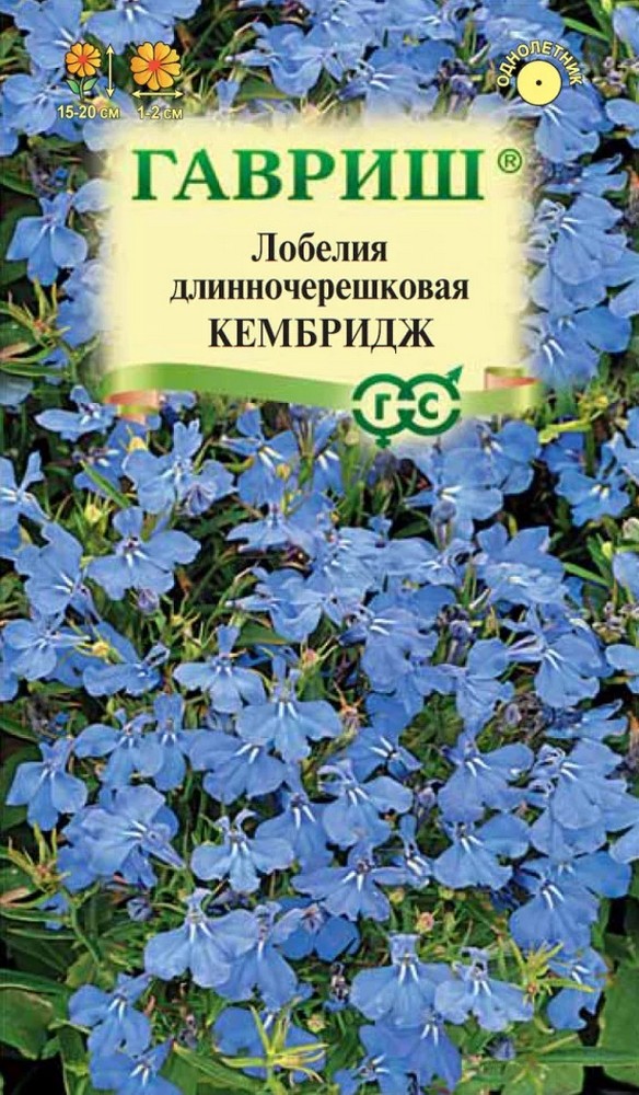 Лобелия Кембридж, 0,01 г