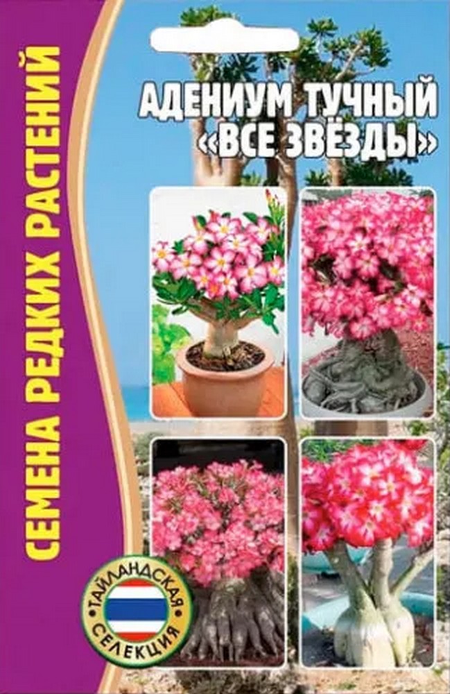 Адениум Все звёзды, 3шт. 