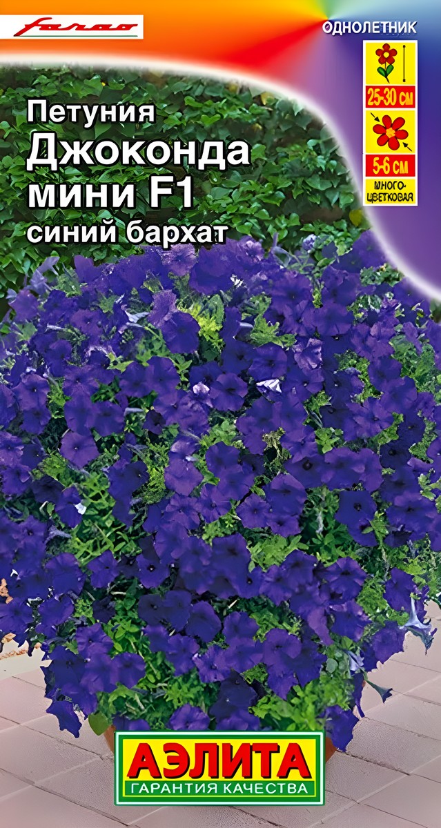 Петуния Джоконда мини F1 синий бархат, 5 шт.