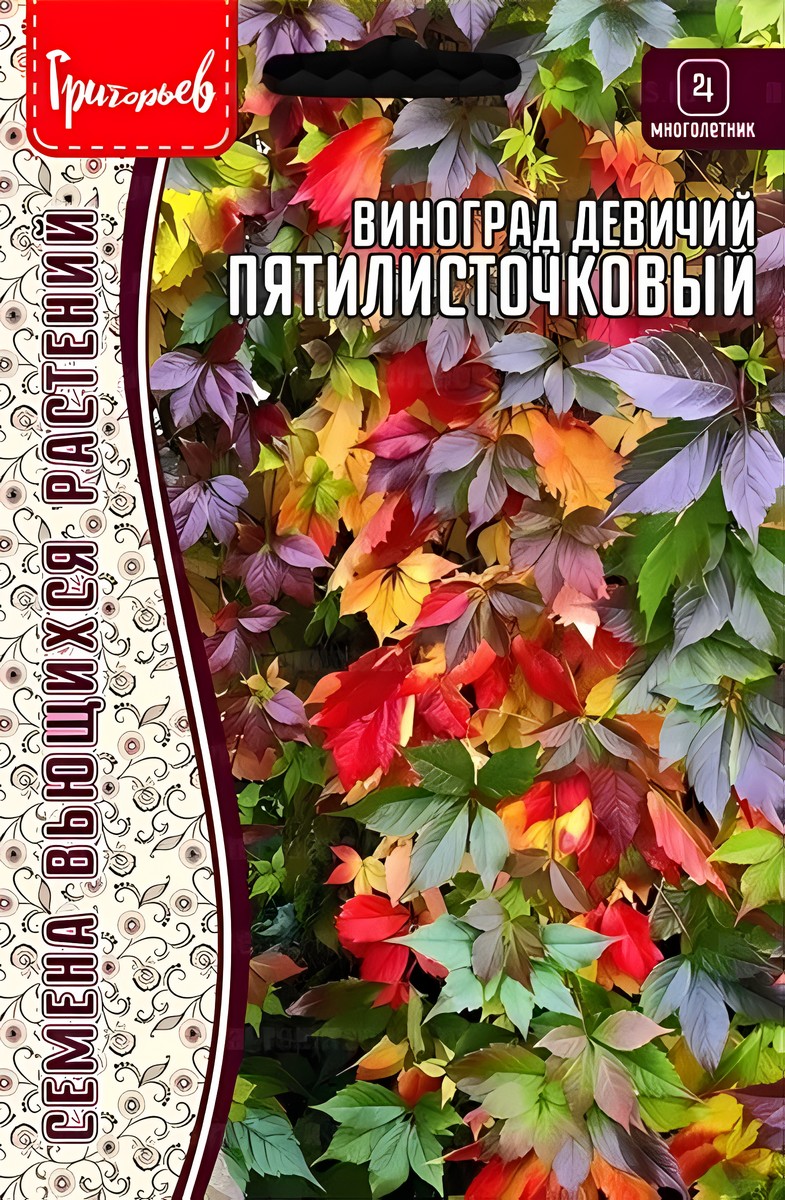 Виноград Пятилисточковый девичий 5 шт.