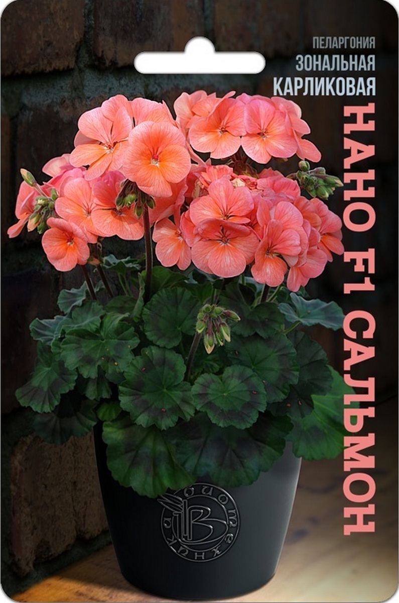 Пеларгония зональная карликовая Нано F1 Сальмон, 5 шт. Биотехника