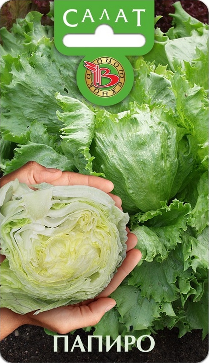 Салат кочанный Папиро, 20 шт. Биотехника