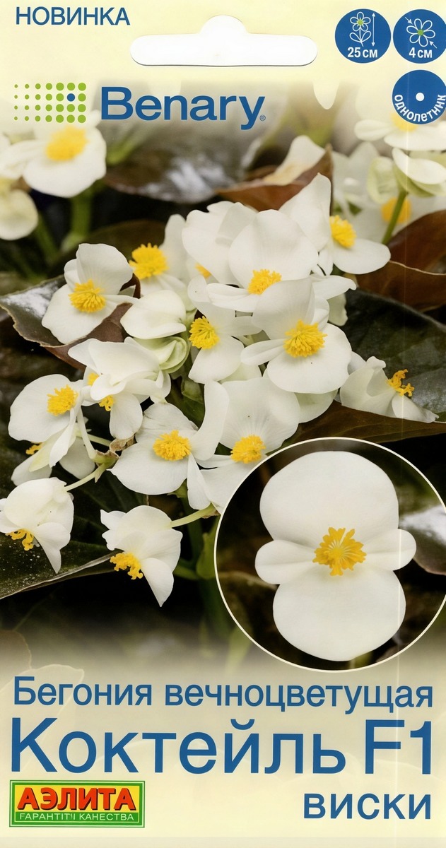 Бегония вечноцветущая Коктейль F1 виски, 7 шт.