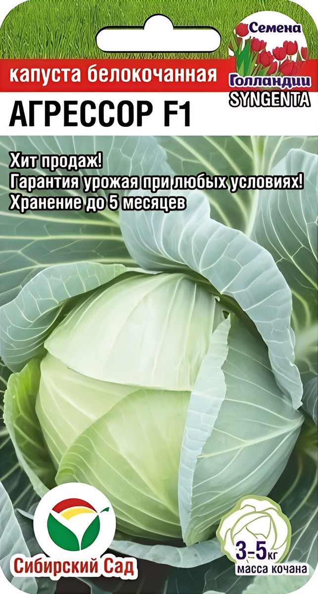 Капуста белокочанная Агрессор F1, 10 шт. Сибирский сад.