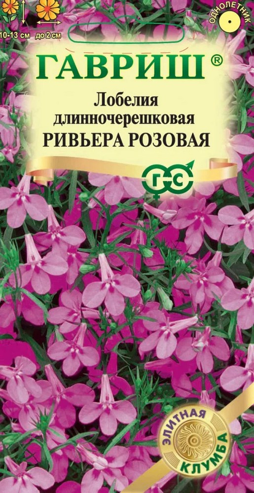 Лобелия Ривьера Розовая, 5 шт. Элитная клумба. 
