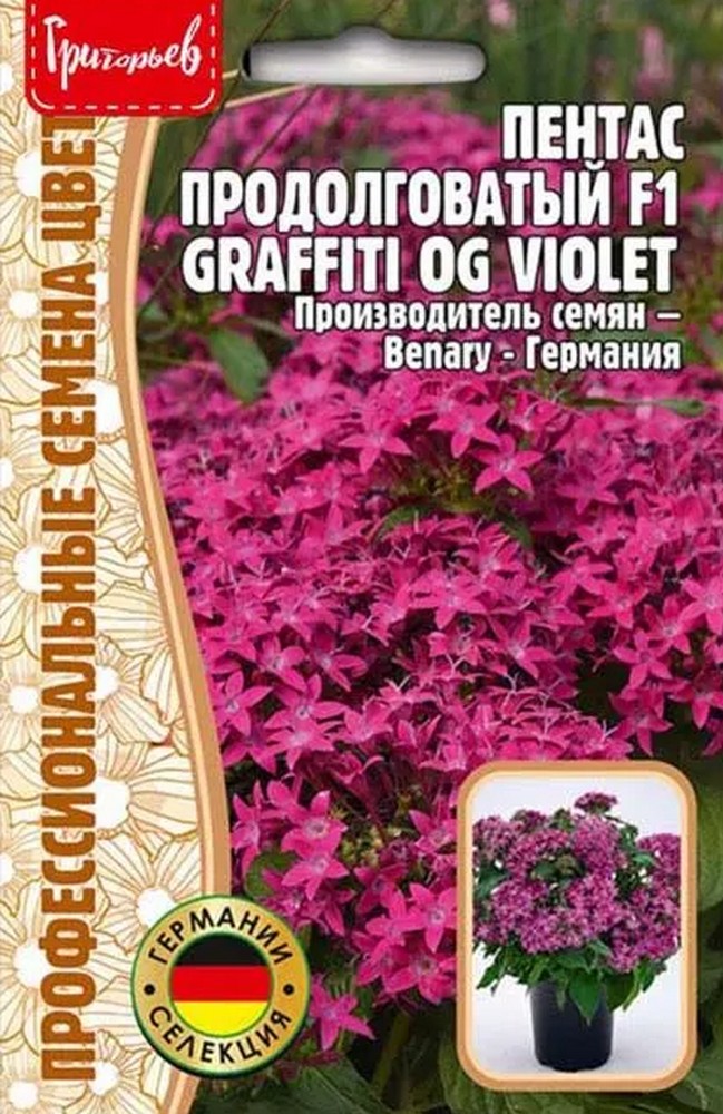 Пентас F1 Graffiti OG Violet (Граффити OG фиолетовый), 3 шт.
