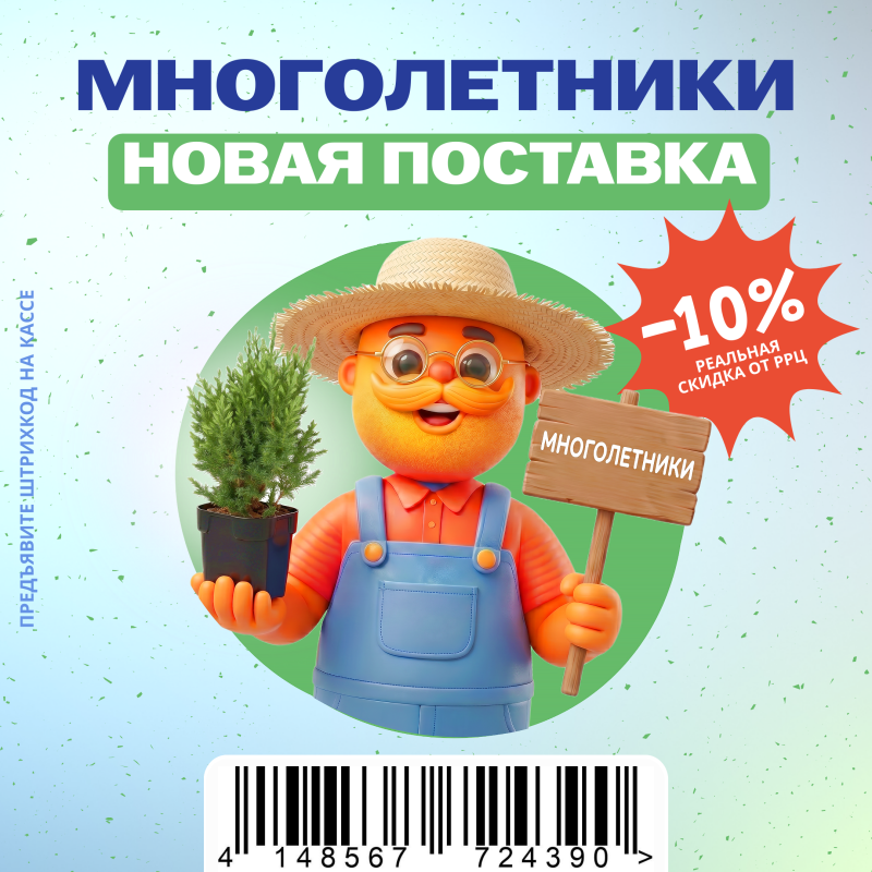 Новое поступление многолетников в магазин