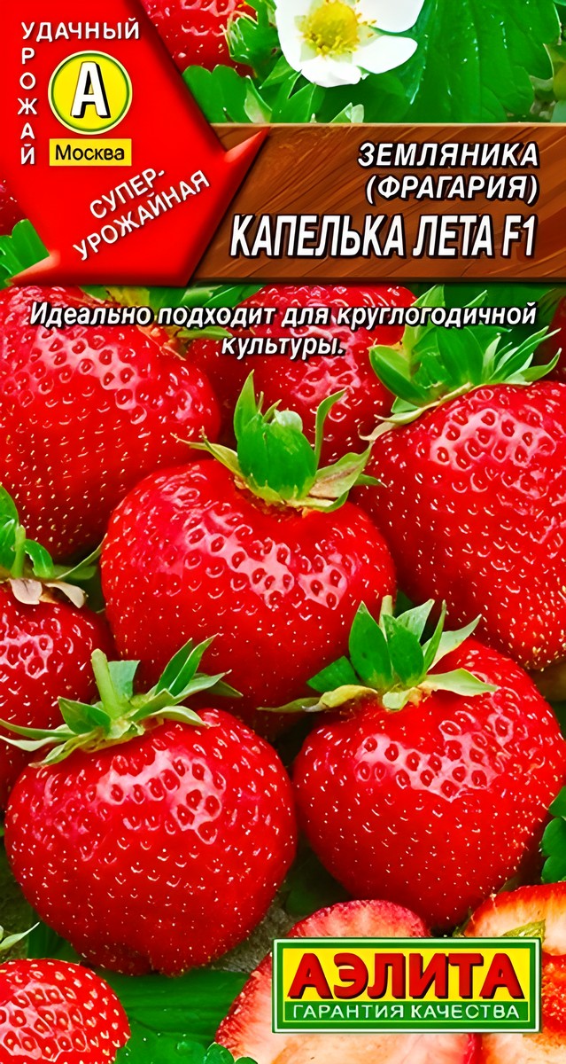Земляника крупноплодная Капелька лета F1, 10 шт.