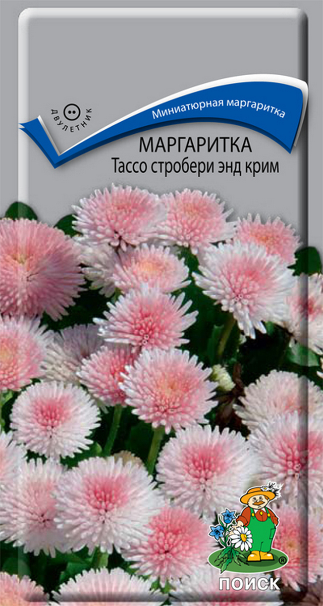 Маргаритка Тассо стробери энд крим, 20 шт.