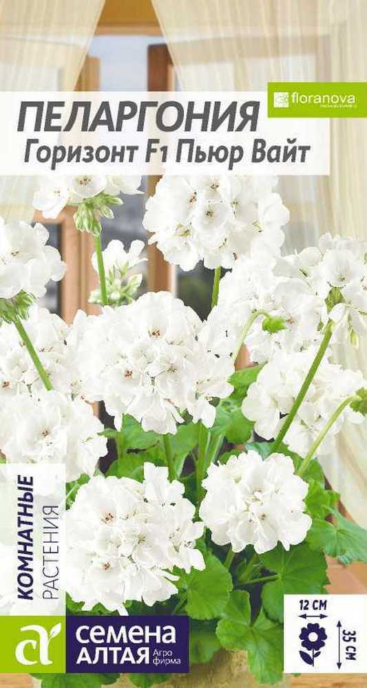 Пеларгония зональная Горизонт Пьюр Вайт, 4 шт.