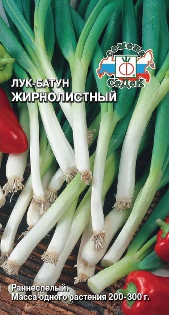 Лук батун Жирнолистный, 1 г