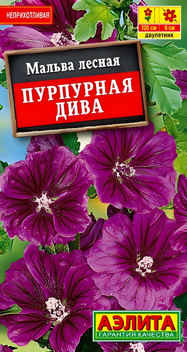 Мальва Пурпурная дива, 0,1 г