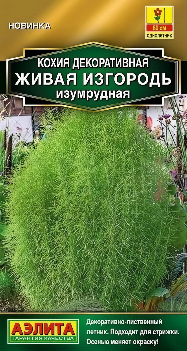 Кохия Живая изгородь изумрудная, 0,1 г