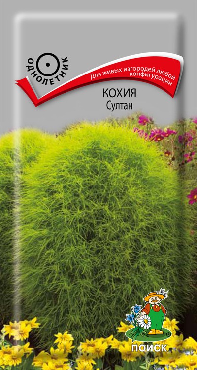 Кохия Султан, 0,1 г