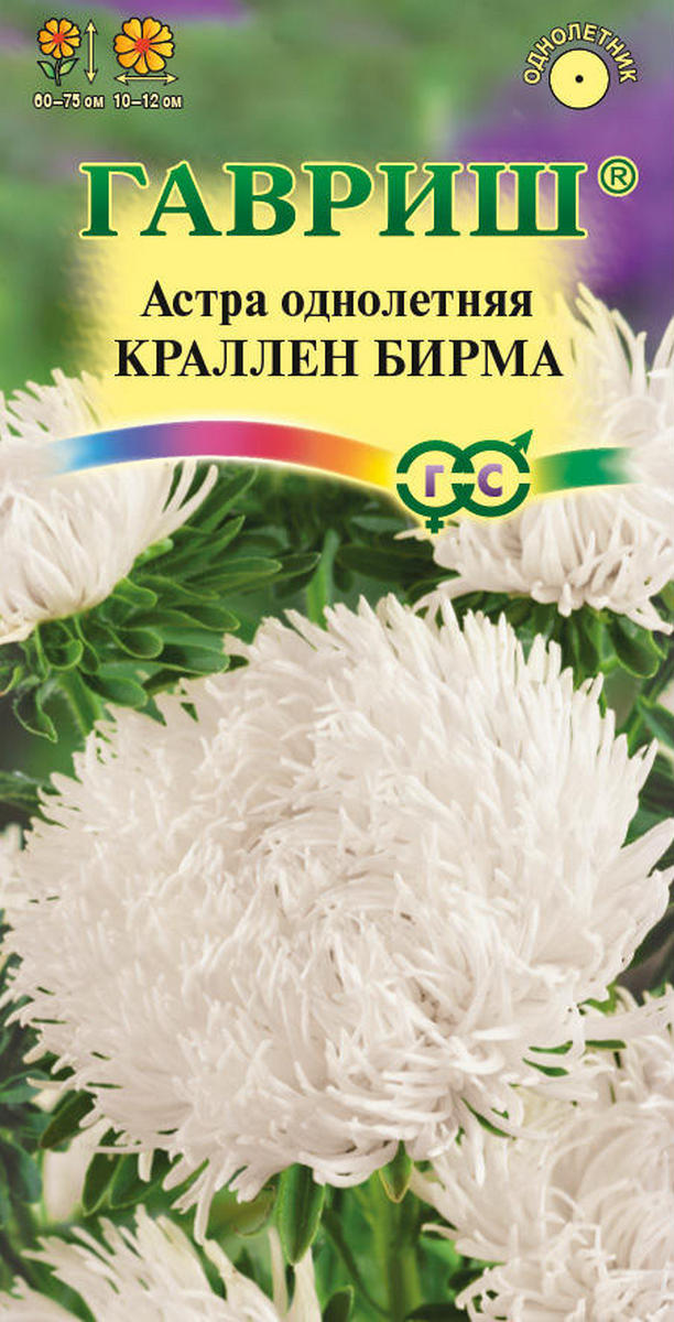 Астра коготковая Краллен Бирма кремовая, однолетняя, 0,3 г 