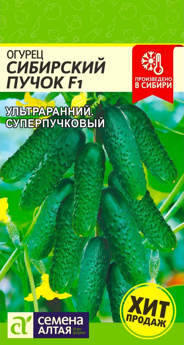 Огурец Сибирский Пучок F1, 5 шт. 