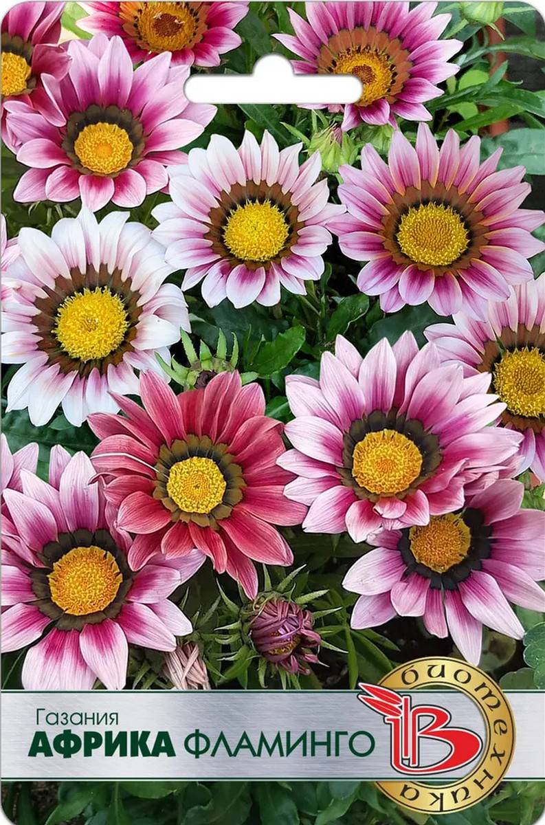 Газания Африка Фламинго, 7 шт. Биотехника