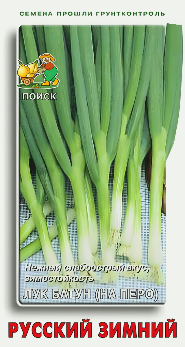 Лук батун Русский зимний, 1 г. Поиск