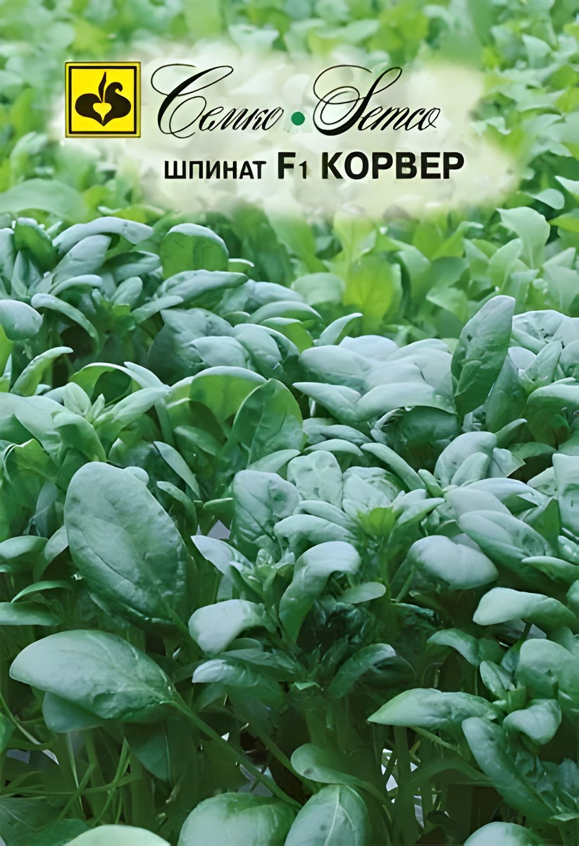 Шпинат Корвер F1, 2 г