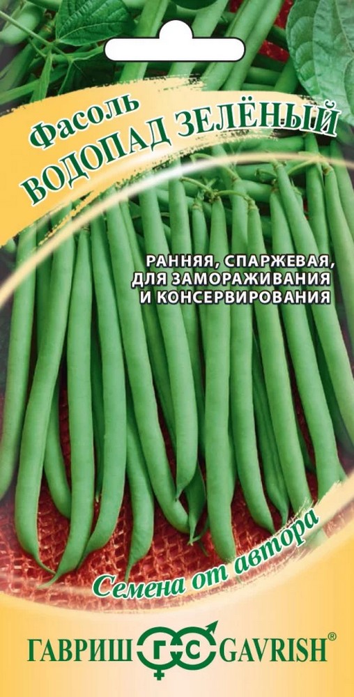 Фасоль Водопад зеленый, 5 г. Авторские семена.