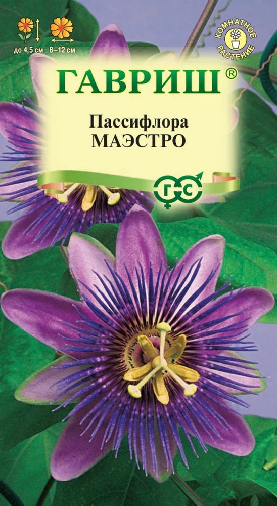 Пассифлора съедобная Маэстро, 5 шт.