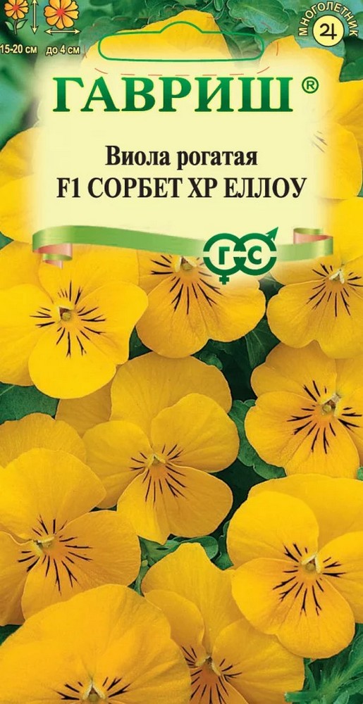 Виола рогатая Сорбет XP Еллоу F1, 4 шт.