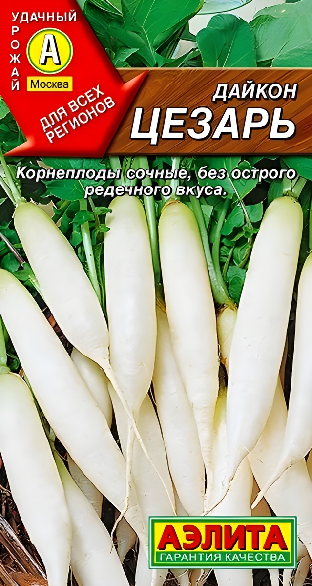 Дайкон Цезарь, 1 г