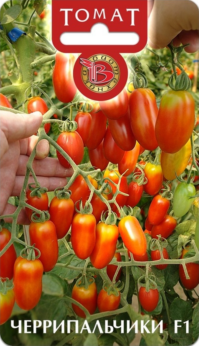 Томат Черрипальчики F1, 25 шт. Биотехника