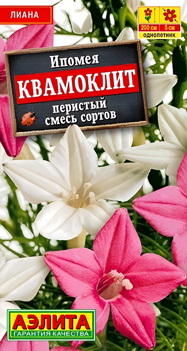 Ипомея Квамоклит, смесь окрасок, 0,5 г