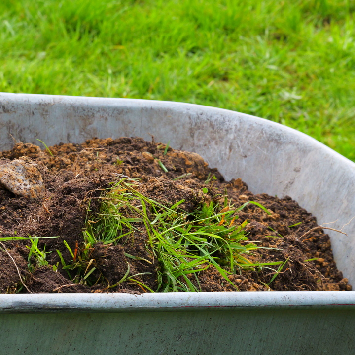 Секреты живой почвы: нужна ли ей глубокая обработка