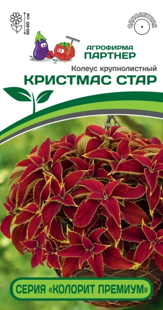 Колеус крупнолистный Кристмас Стар, 5 шт. Колорит Премиум