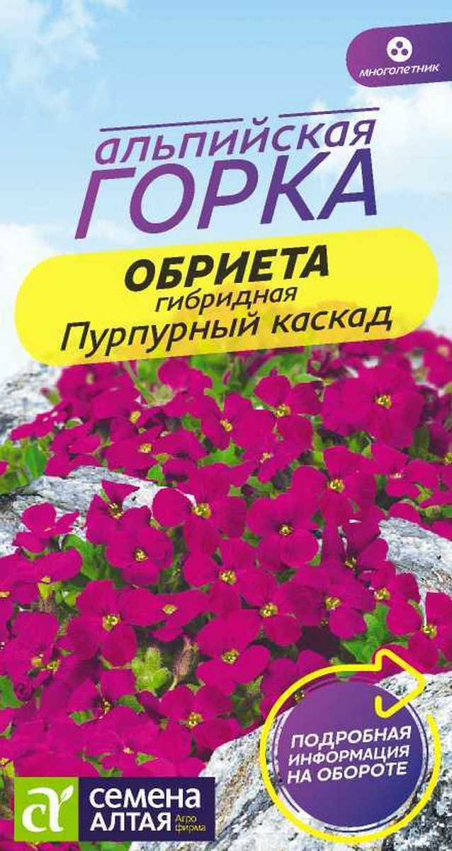 Обриета Пурпурный каскад, 0,03 г. Альпийская горка.