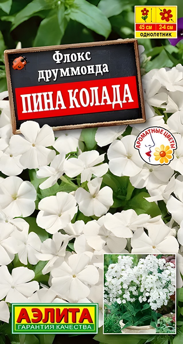 Флокс друммонда крупноцветковый Пина колада, 0,2 г