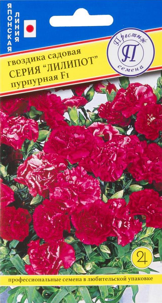 Гвоздика Лилипот Пурпурная, 5 шт. Японская линия