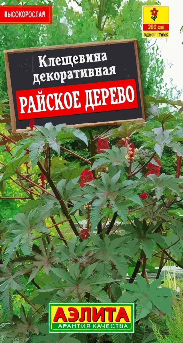 Клещевина Райское дерево, 2 г