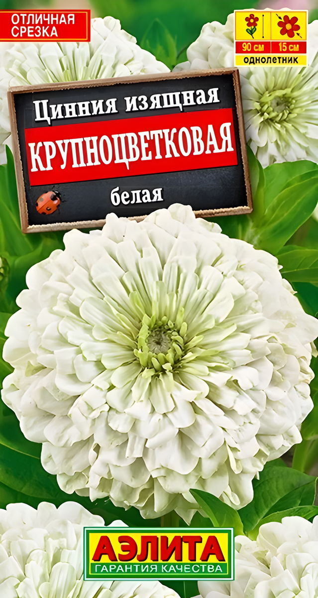 Цинния изящная Крупноцветковая, белая, 0,3 г
