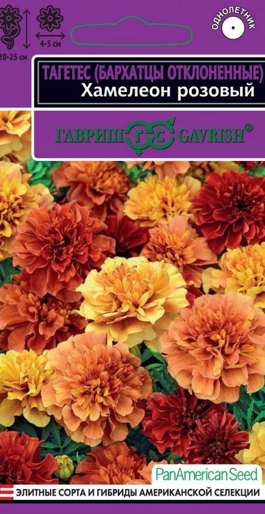 Бархатцы отклоненные Хамелеон розовый, 5 шт. Эксклюзив.