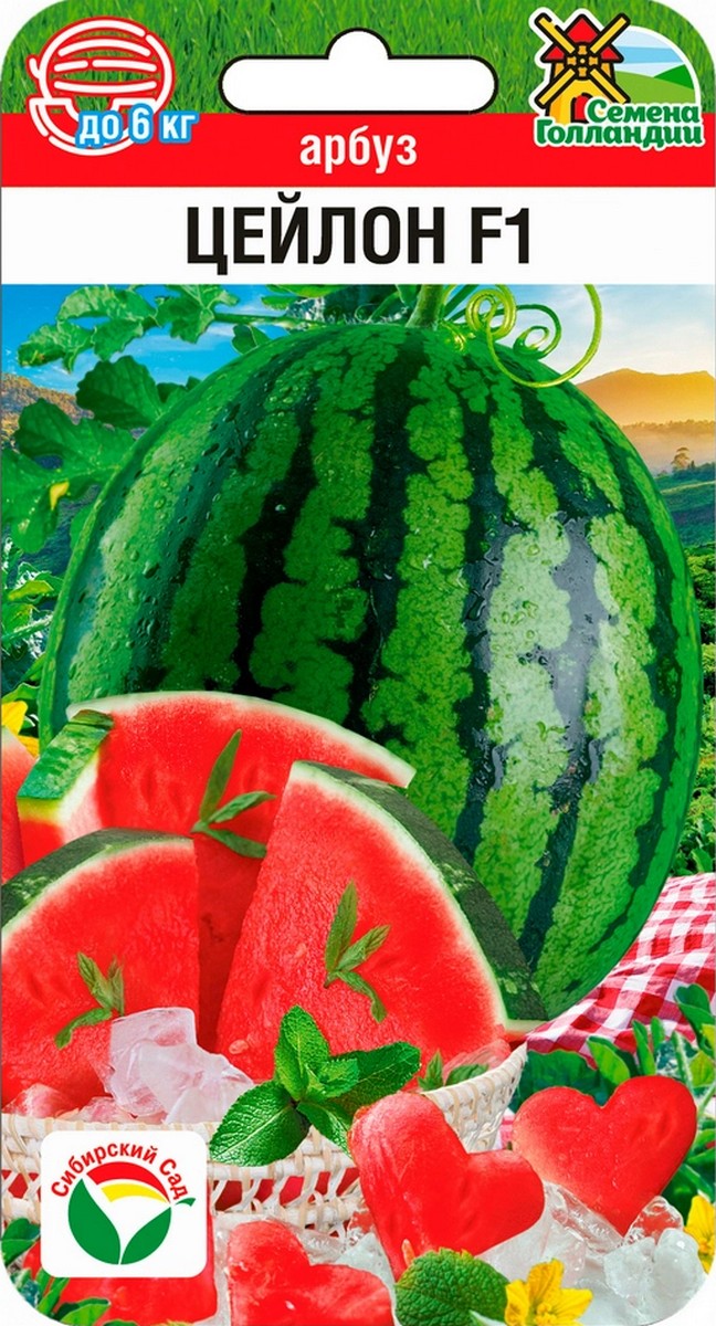 Арбуз Цейлон F1, 3 шт. Семена Голландии