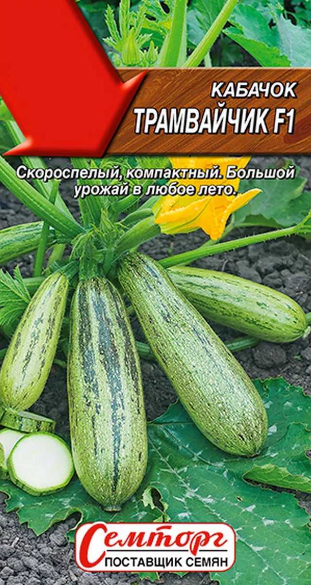 Кабачок цуккини Трамвайчик F1, 5 шт.
