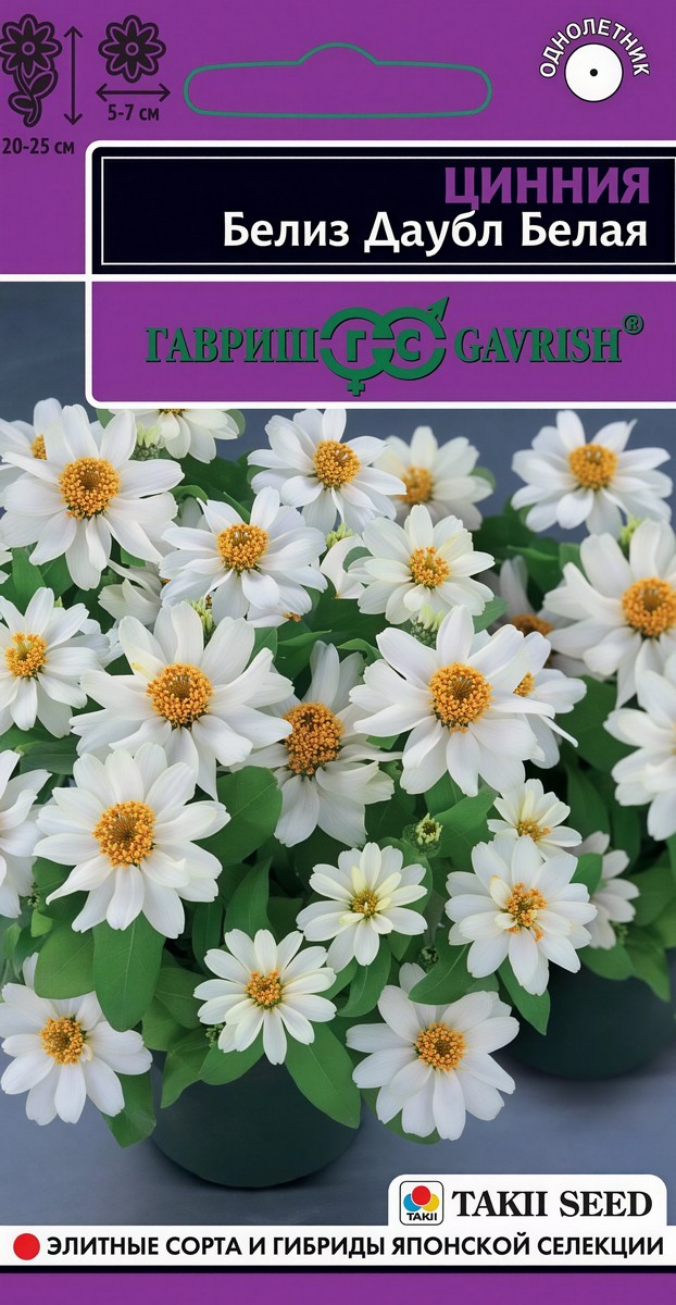 Цинния Белиз Даубл белая, 5 шт. Эксклюзив 