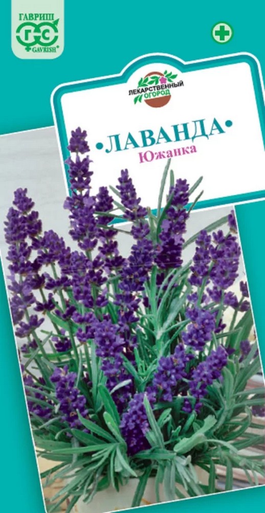 Лаванда Южанка, 0,2 г. Лекарственная.