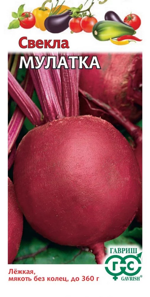 Свекла Мулатка, 2 г 