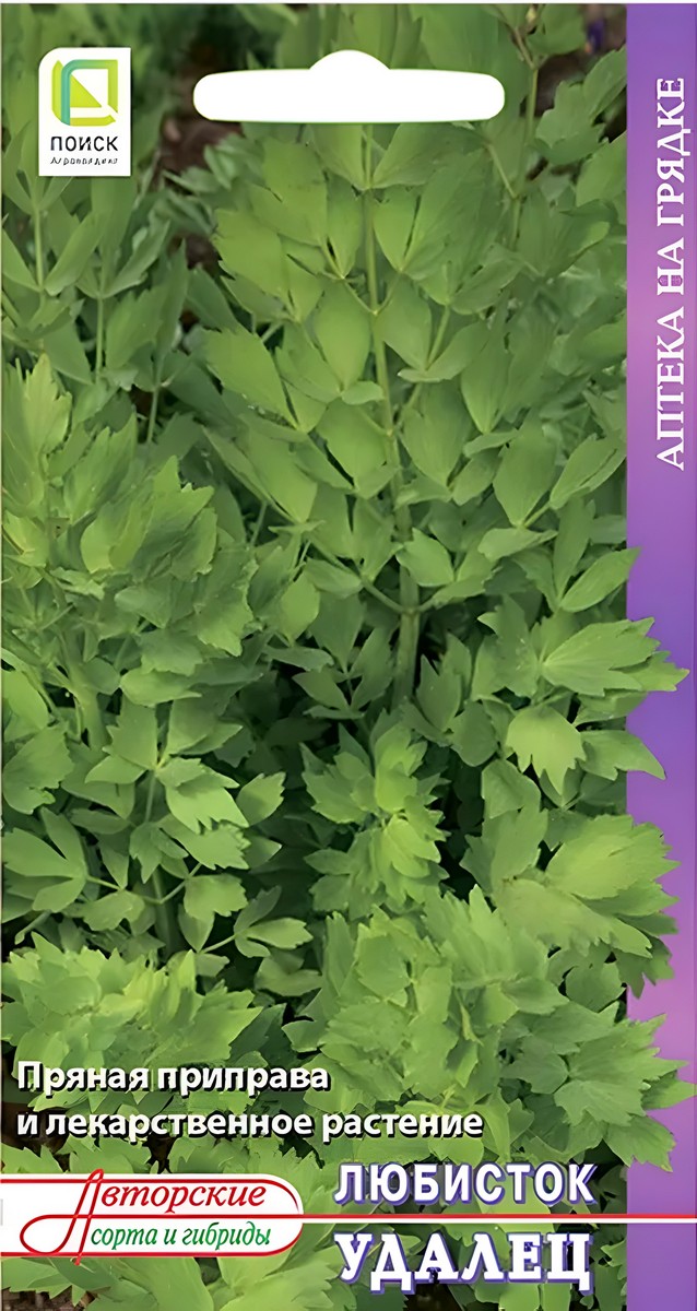 Любисток Удалец, 1 г. Аптека на грядке. Поиск