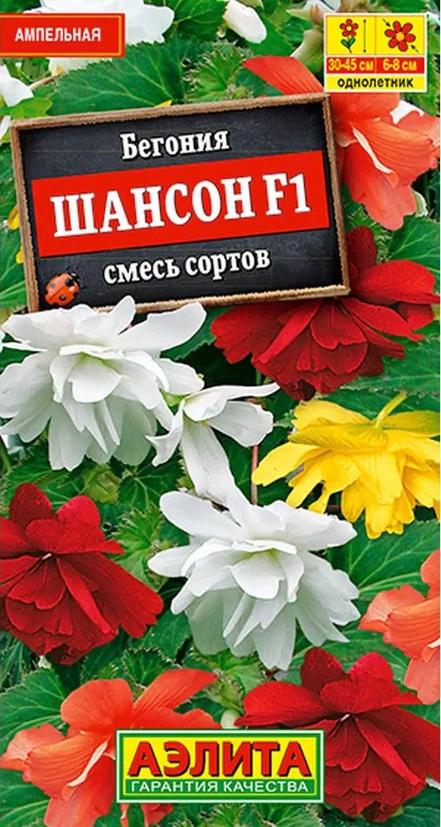 Бегония ампельная Шансон F1, смесь сортов, 10 шт.