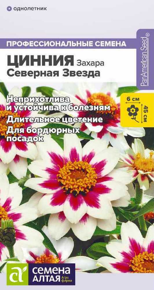 Цинния Захара Северная звезда, 6 шт. 