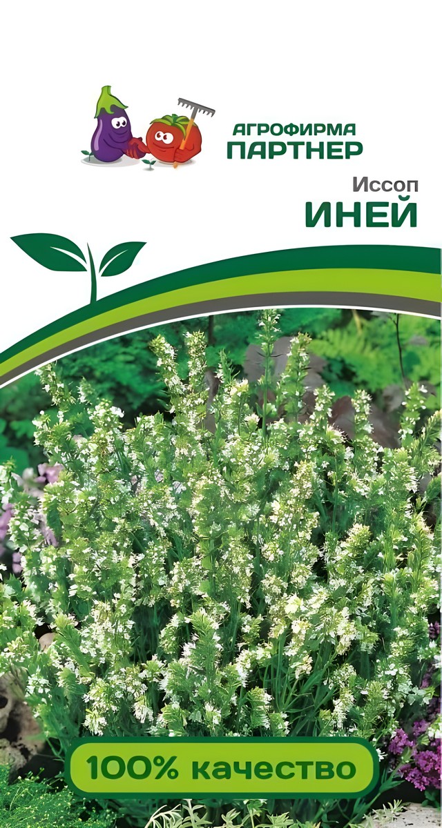 Иссоп Иней, 0,2 г. Агрофирма Партнер.