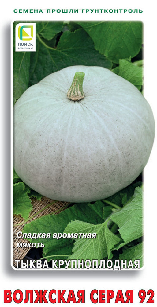 Тыква крупноплодная Волжская серая 92, 10 шт.