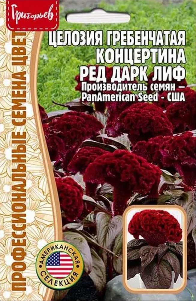 Целозия гребенчатая Концертина Ред Дарк Лиф, 5 шт. 